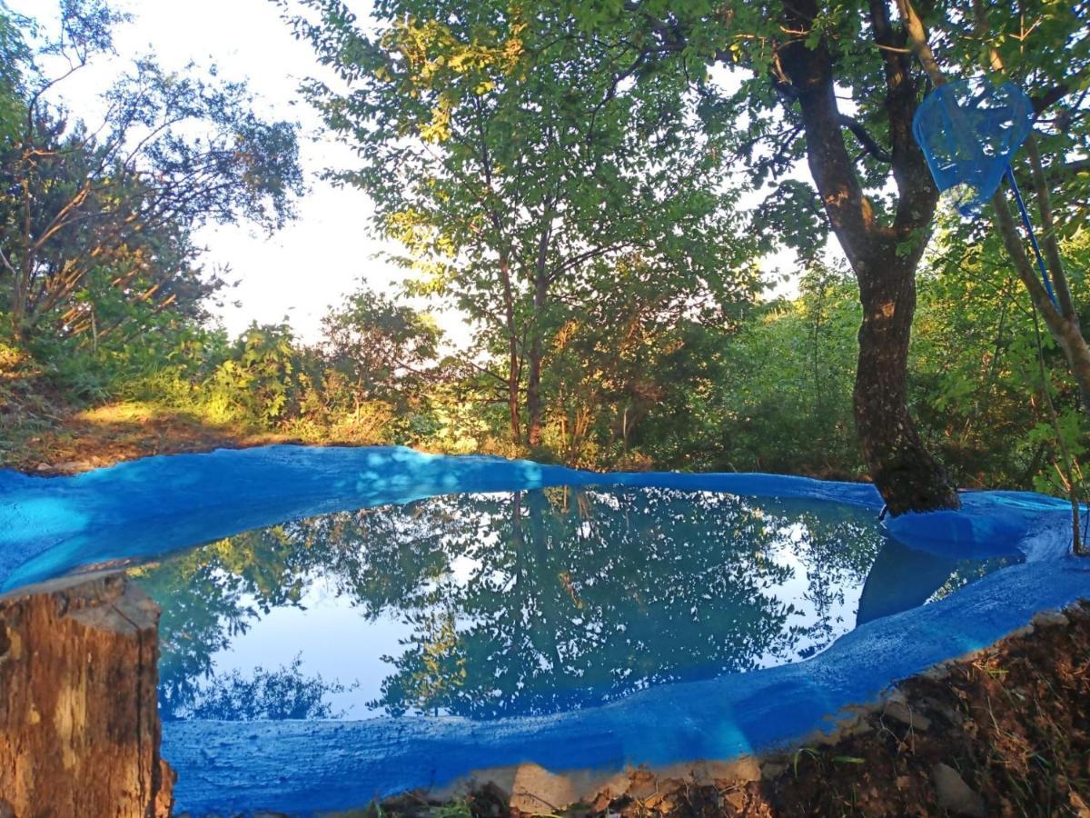 @Gatetothewild Bed and Breakfast Coreglia Ligure Eksteriør billede